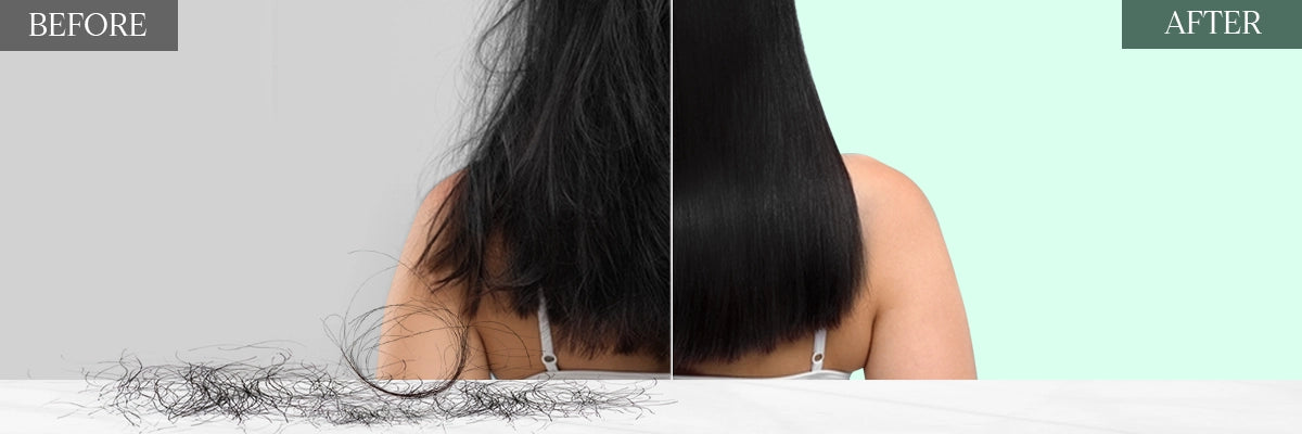 HAIR_BEFORE_AFTER.webp